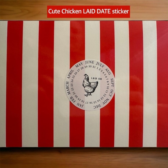 CHICKEN EASTER BASKET bag in chicken box, easter basket, chicken coup,egg basket - Picture 4 of 5